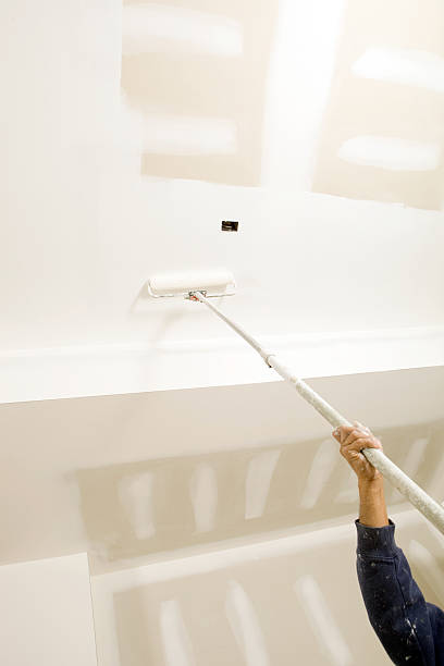 Island Lake, IL Mold Removal Company